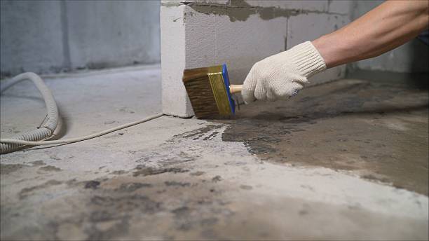 24/7 Emergency Crawl Space Encapsulation experts in Williamston, MI